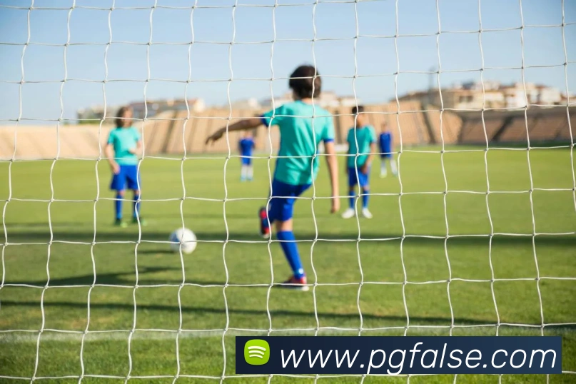 pg模拟器平台生态图