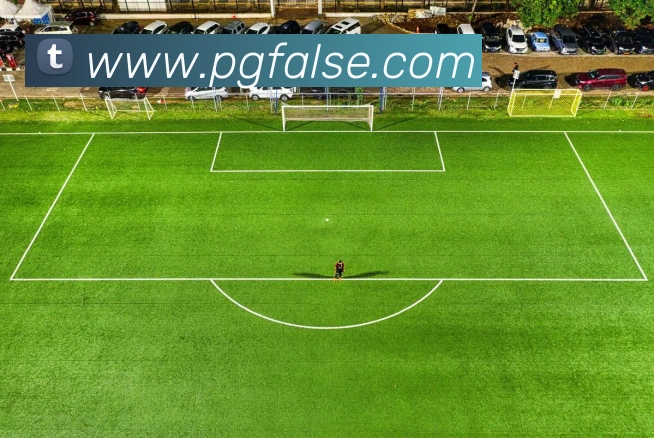 pg模拟器全站App pg模拟器全站App